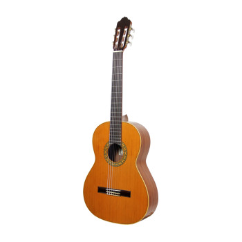 ESTEVE 15441BU guitare esteve mod.1 f/e bubinga