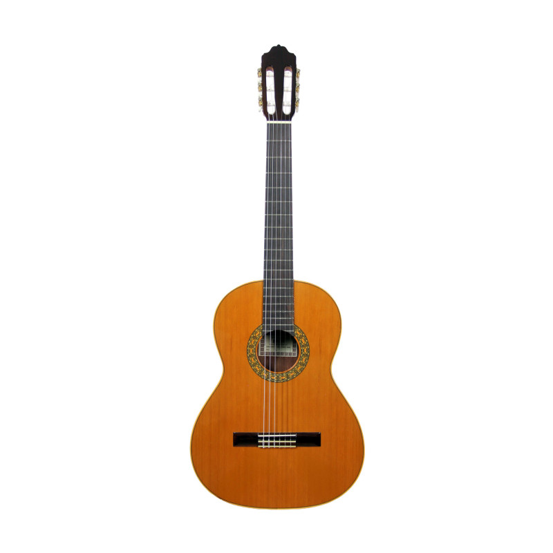 ESTEVE 15441BU guitare esteve mod.1 f/e bubinga
