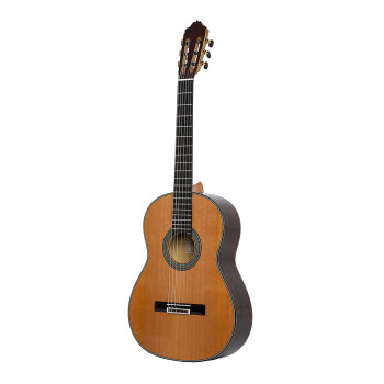 ESTEVE 65ANOS guitare esteve 65 anos