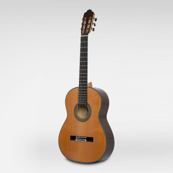 ESTEVE 65ANOS guitare esteve 65 anos