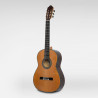 ESTEVE 65ANOS guitare esteve 65 anos