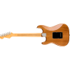 FENDER American Professional II Stratocaster touche erable Roasted Pine