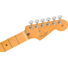 FENDER American Professional II Stratocaster touche erable Roasted Pine