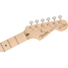 FENDER Eric Clapton Stratocaster touche erable Pewter