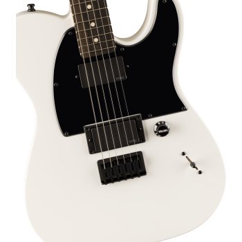 FENDER Jim Root Telecaster touche ebene Flat White