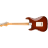 FENDER Player II Stratocaster touche erable Transparent Mocha Burst