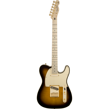 FENDER Richie Kotzen Telecaster touche erable Brown Sunburst