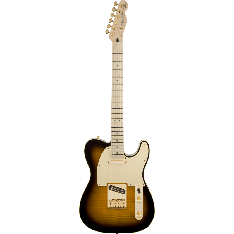 FENDER Richie Kotzen Telecaster touche erable Brown Sunburst