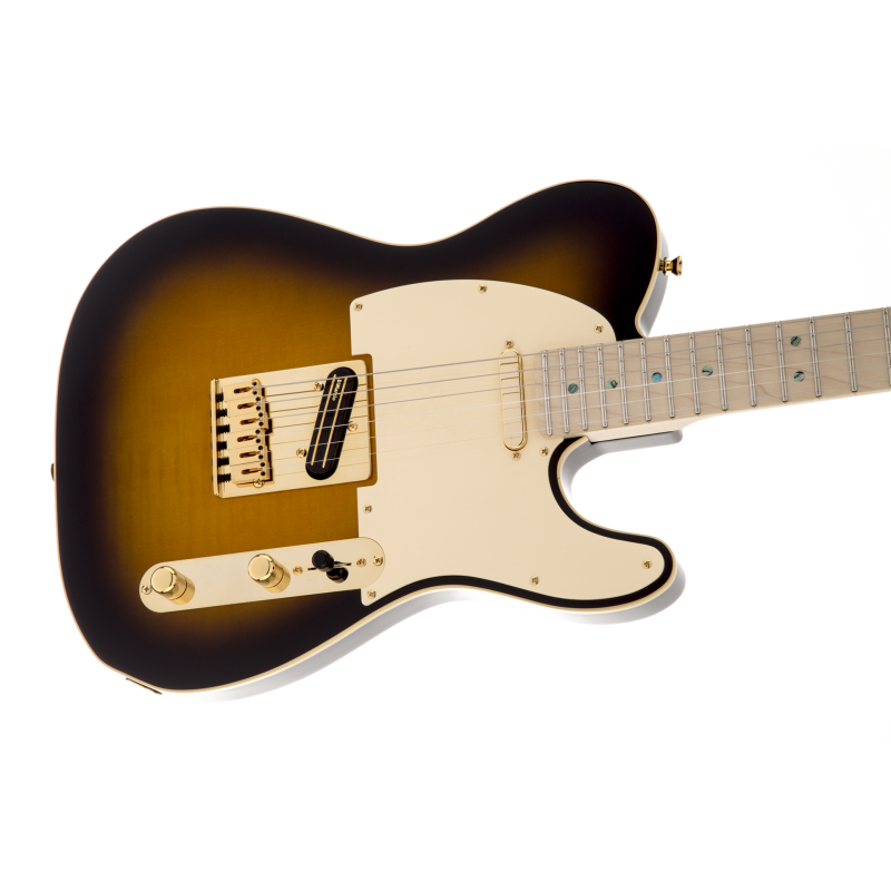 FENDER Richie Kotzen Telecaster touche erable Brown Sunburst