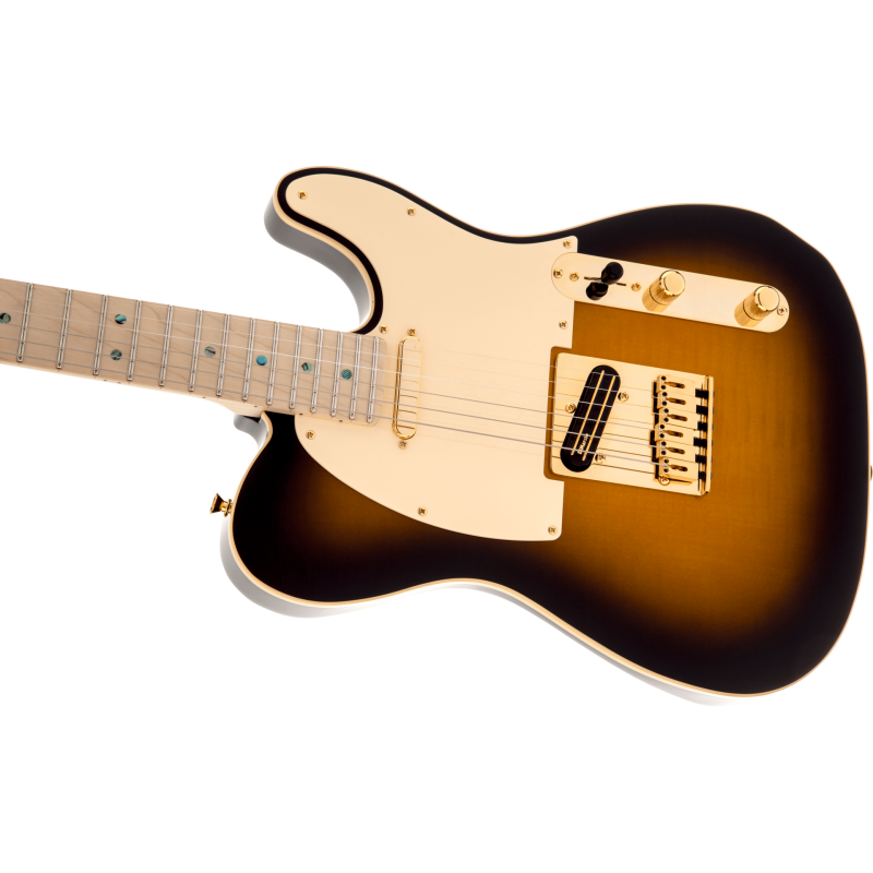 FENDER Richie Kotzen Telecaster touche erable Brown Sunburst
