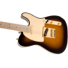 FENDER Richie Kotzen Telecaster touche erable Brown Sunburst
