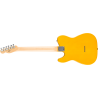 FENDER Standard Telecaster touche erable plaque noire Butterscotch Blonde