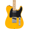 FENDER Standard Telecaster touche erable plaque noire Butterscotch Blonde