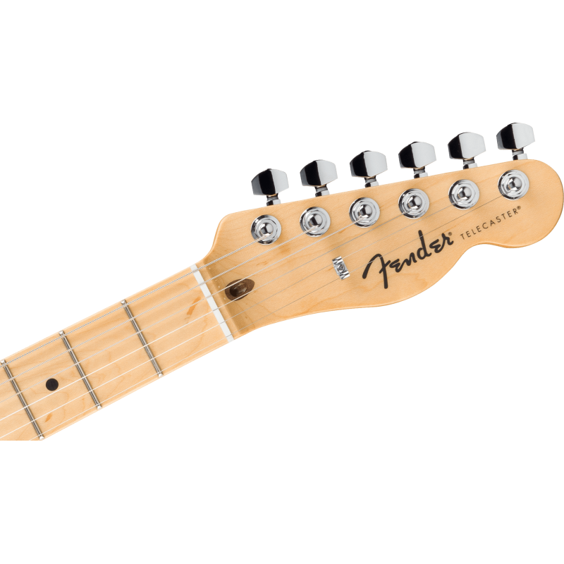FENDER Standard Telecaster touche erable plaque noire Butterscotch Blonde
