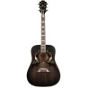 GIBSON Dove Double Guard Trans Ebony Light Aged NH ebony