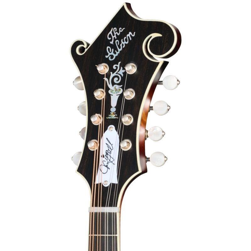 GIBSON Sierra Hull F-5 Master Model Sierra Burst VOS Varnish