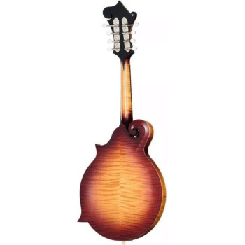 GIBSON Sierra Hull F-5G Sierra Burst VOS Varnish
