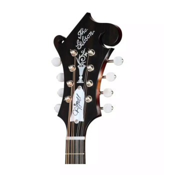 GIBSON Sierra Hull F-5G Sierra Burst VOS Varnish