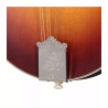 GIBSON Sierra Hull F-5G Sierra Burst VOS Varnish