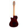 GODIN Multiac Mundial Kanyon Burst livree en housse