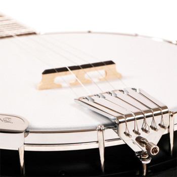 GOLD TONE AC-5 banjo bluegrass à 5 cordes avec housse