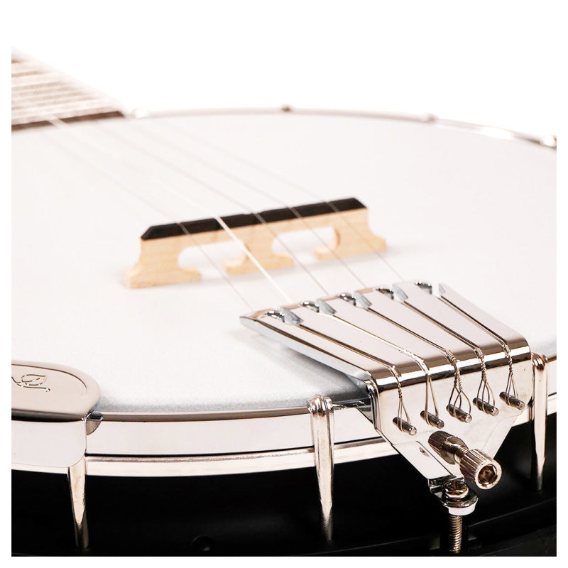 GOLD TONE AC-5 banjo bluegrass à 5 cordes avec housse