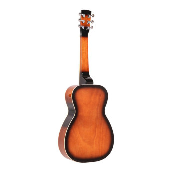 GOLD TONE PBS guitare à résonateur paul beard avec manche carré - Déstockage