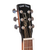 GOLD TONE PBS guitare à résonateur paul beard avec manche carré - Déstockage