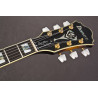 IBANEZ GB10BS Brown Sunburst Guitare electrique avec valise