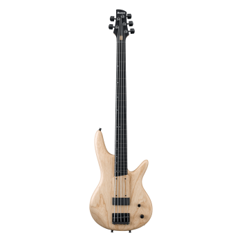 IBANEZ GWB1005NTF Natural Flat basse electrique avec valise