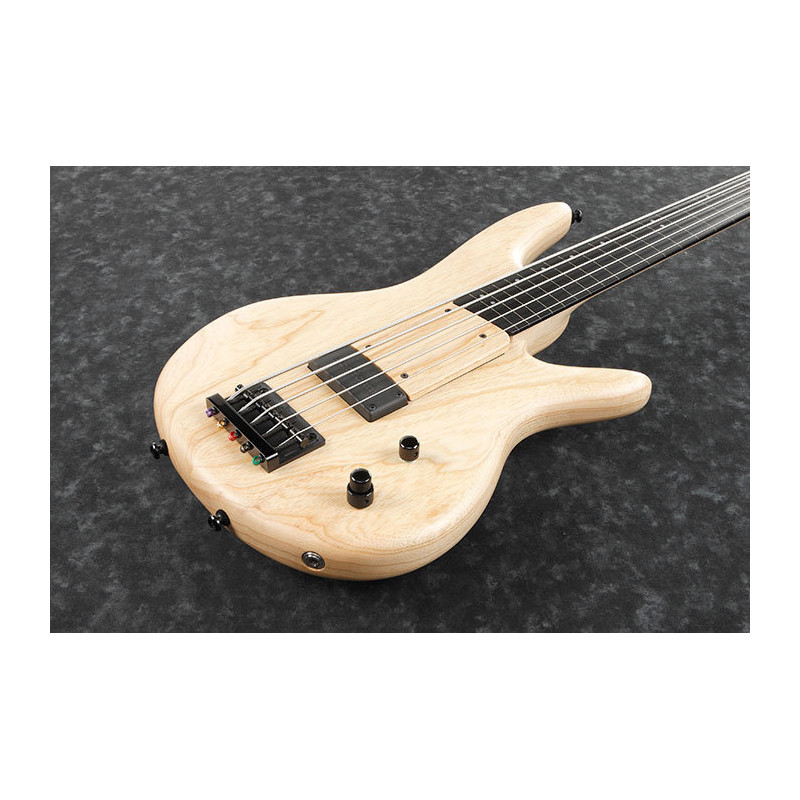 IBANEZ GWB1005NTF Natural Flat basse electrique avec valise