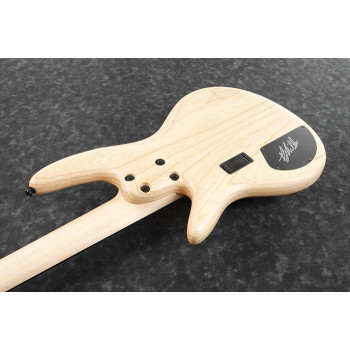 IBANEZ GWB1005NTF Natural Flat basse electrique avec valise