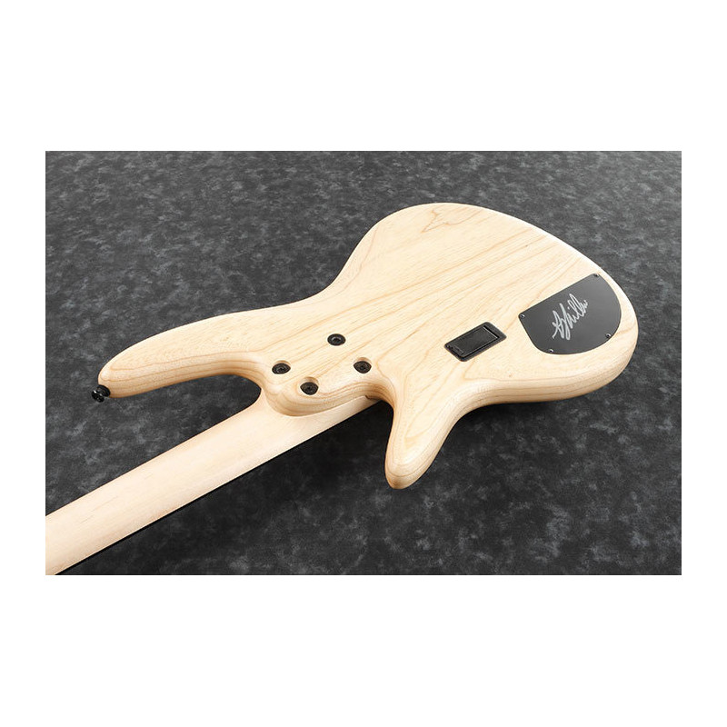 IBANEZ GWB1005NTF Natural Flat basse electrique avec valise