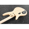 IBANEZ GWB1005NTF Natural Flat basse electrique avec valise
