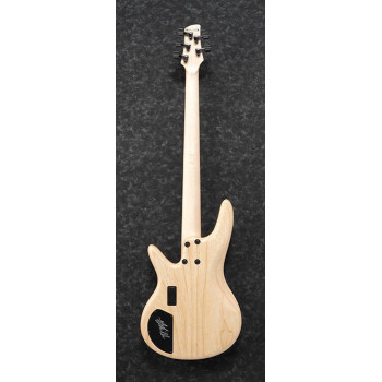 IBANEZ GWB1005NTF Natural Flat basse electrique avec valise