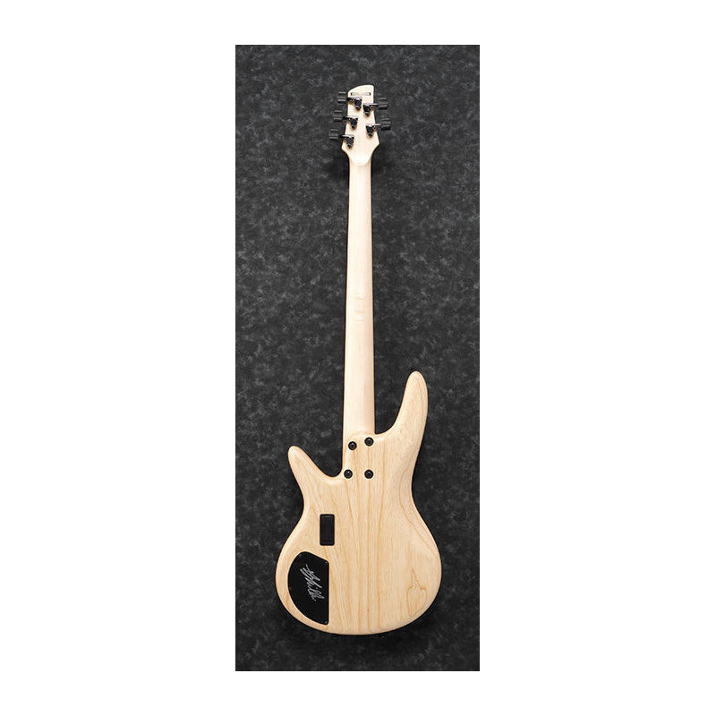 IBANEZ GWB1005NTF Natural Flat basse electrique avec valise