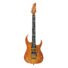 IBANEZ IV1RG Guitare electrique avec valise