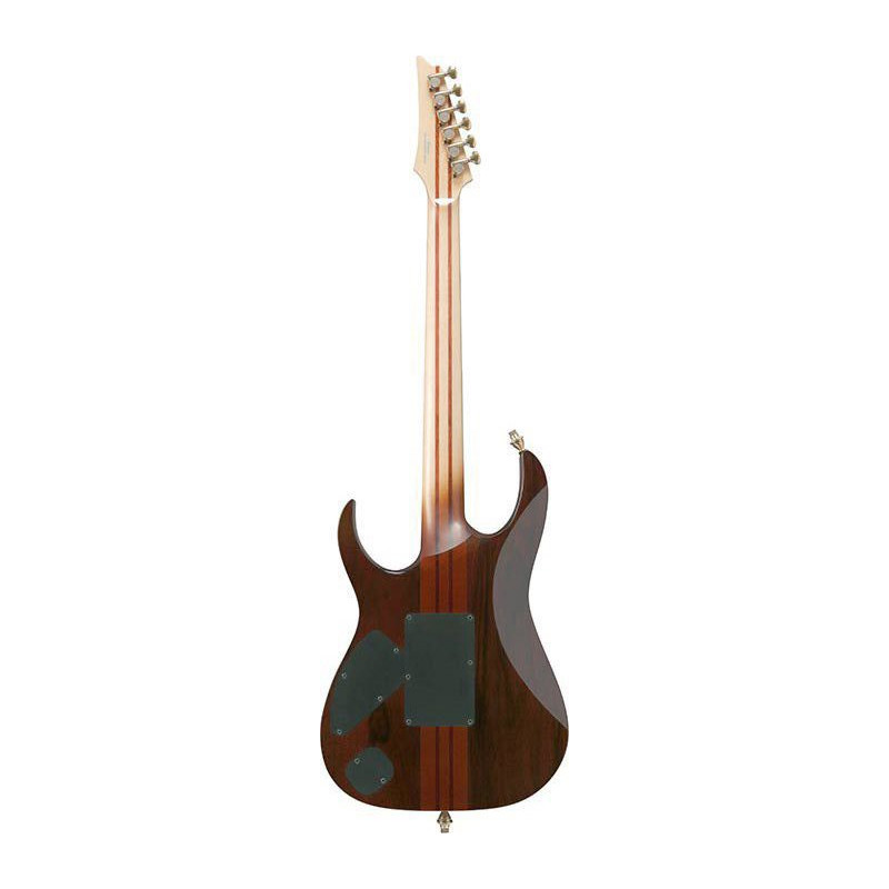 IBANEZ IV1RG Guitare electrique avec valise