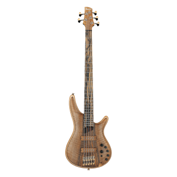 IBANEZ IV1SR basse electrique 5 cordes avec valise