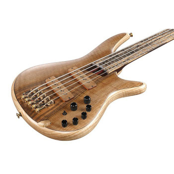 IBANEZ IV1SR basse electrique 5 cordes avec valise