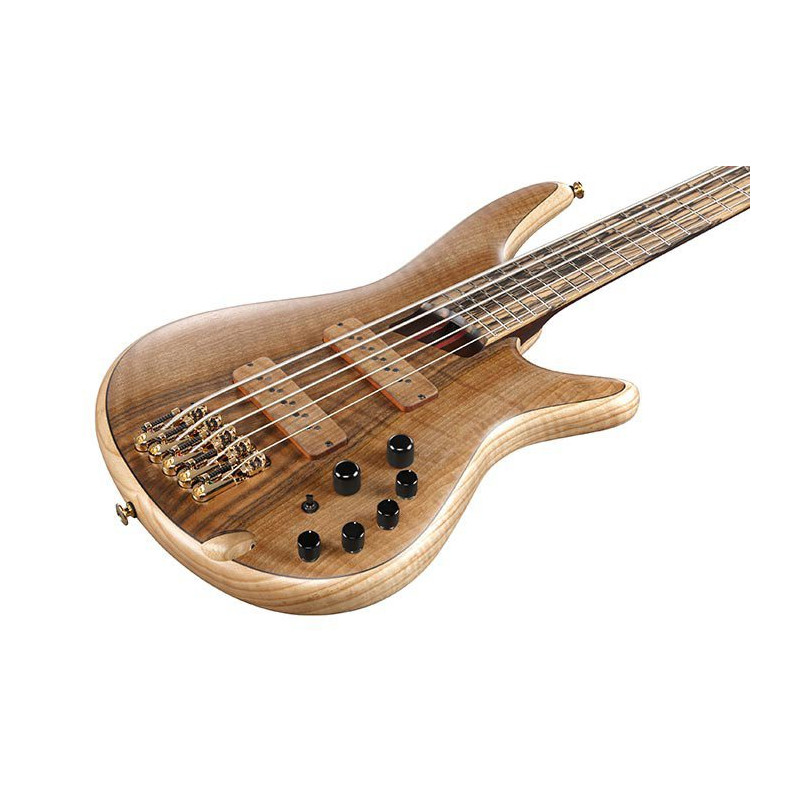 IBANEZ IV1SR basse electrique 5 cordes avec valise