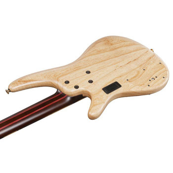 IBANEZ IV1SR basse electrique 5 cordes avec valise