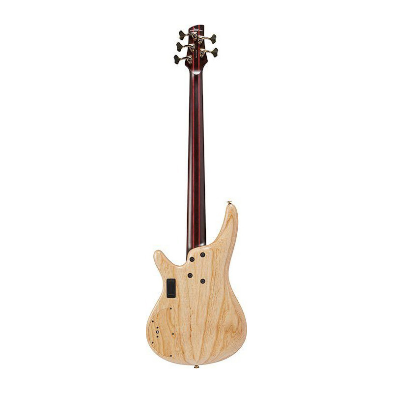 IBANEZ IV1SR basse electrique 5 cordes avec valise