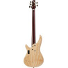 IBANEZ IV1SR basse electrique 5 cordes avec valise