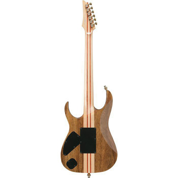IBANEZ IV2RG Guitare electrique avec valise