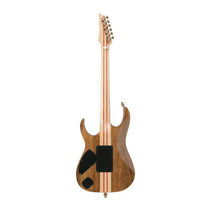 IBANEZ IV2RG Guitare electrique avec valise