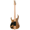 IBANEZ IV2RG Guitare electrique avec valise