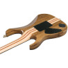 IBANEZ IV2RG Guitare electrique avec valise