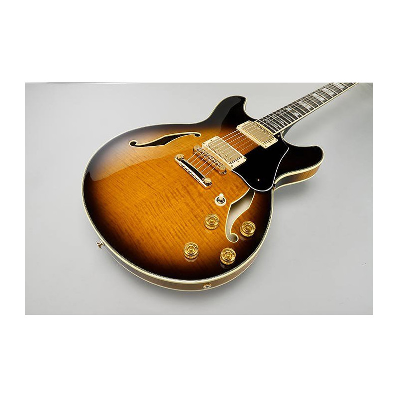 IBANEZ JSM100VT Vintage Sunburst Guitare electrique avec valise