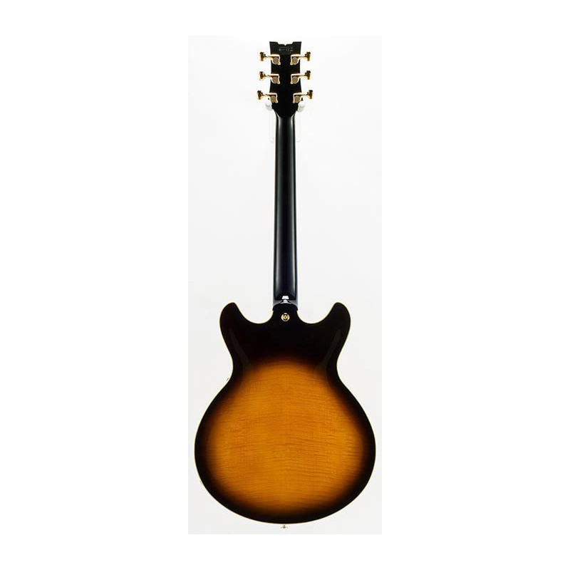 IBANEZ JSM100VT Vintage Sunburst Guitare electrique avec valise
